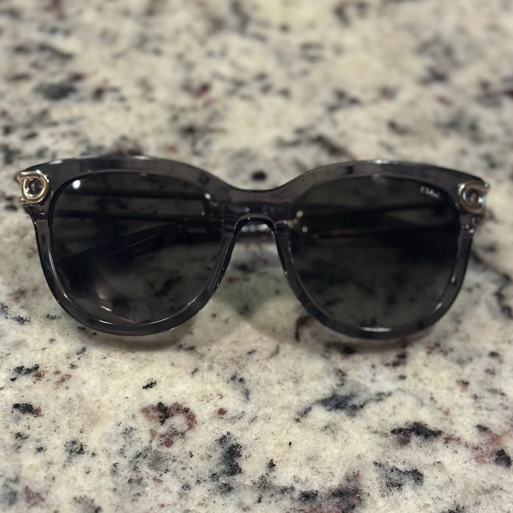 Chloé Sunglasses Style CE709SA-036